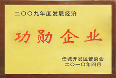 2009年度发展经济功勋企业