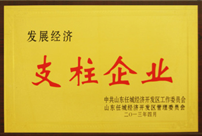 发展经济支柱企业