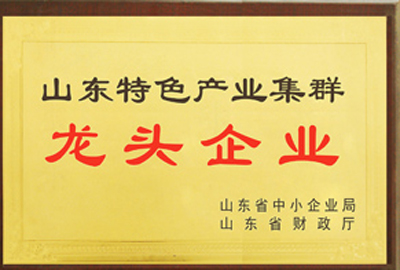 山东特色产业集群龙头企业